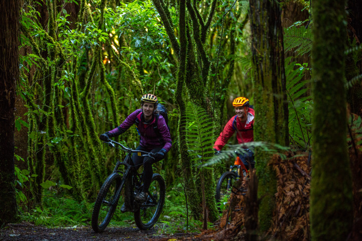 Biking Ohakune Old Coach Road