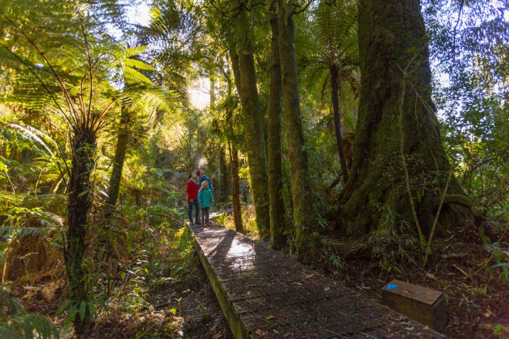 Mangawhero Trail