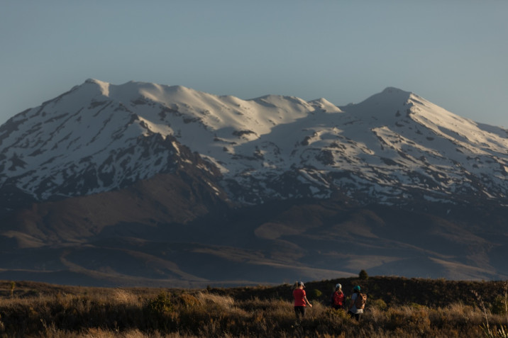 Ruapehu Landscape