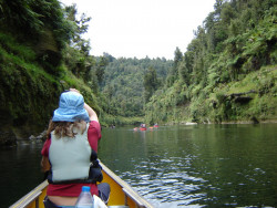 Wanganui River